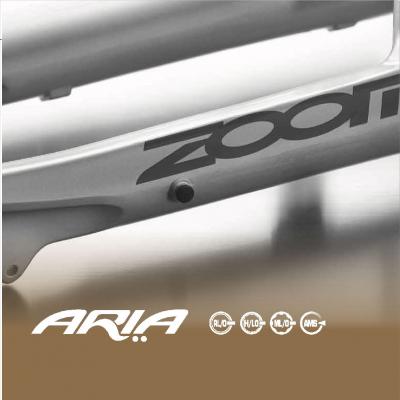 ARIA | ZOOM